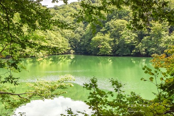 ▲▼東北秘境探訪！乘五能線遊白神山地十二湖　體驗絕美青池與神秘沸壺之池。（圖／周花花提供）