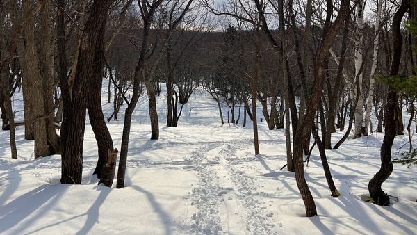 ▲▼日本北海道知床半島的知床自然中心。（圖／部落客CJ夫人提供）