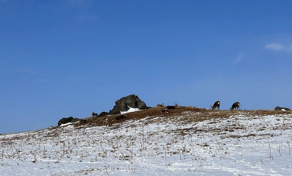 ▲▼日本北海道知床半島的知床自然中心。（圖／部落客CJ夫人提供）