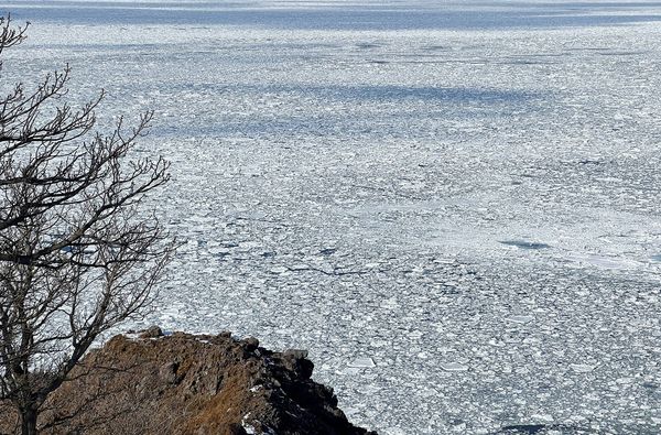 ▲▼日本北海道知床半島的知床自然中心。（圖／部落客CJ夫人提供）