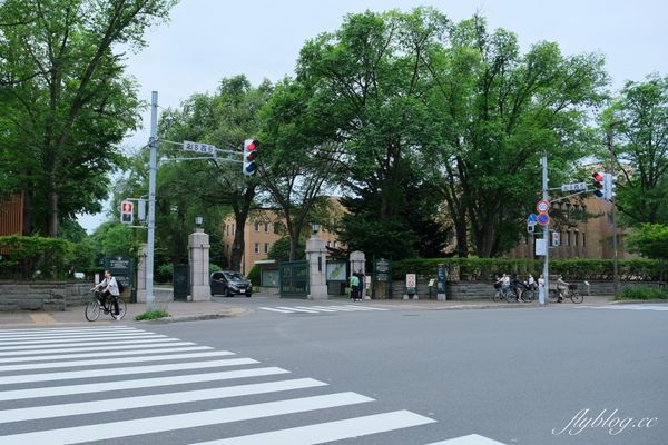 ▲▼ 北海道自由行必訪！享用濃郁冰淇淋　感受四季美景的魅力。（圖／飛天璇的口袋攝）