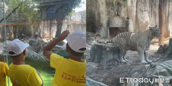 ▲▼ 東森盃、廈門、動物園            。（圖／記者任以芳攝，同下）