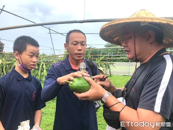 ▲台南市府研考會10日於新市區辦理「新市正青春，下田共學趣」交流共學參訪，由在地青年帶領民眾認識新市人文風土與產業內涵。（圖／記者林東良翻攝，下同）