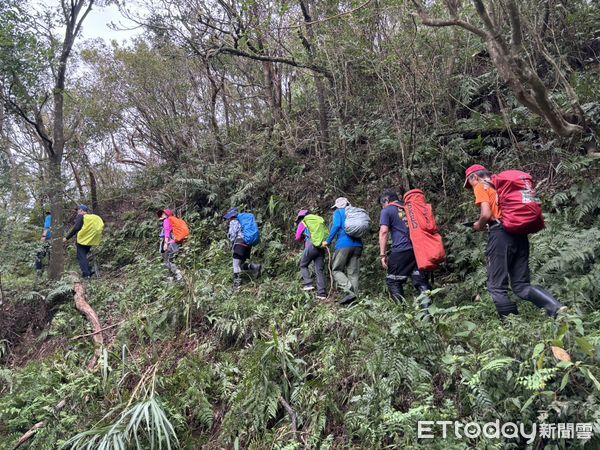 ▲▼     淡蘭古道驚傳蜂螫        。（圖／記者陸運陞翻攝）