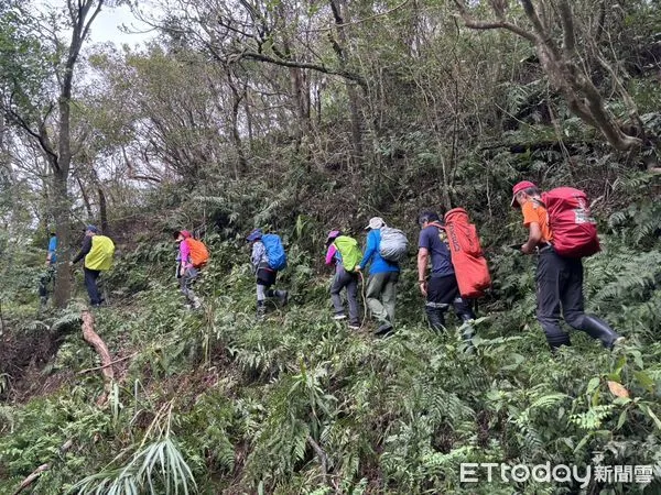 ▲▼     淡蘭古道驚傳蜂螫        。（圖／記者陸運陞翻攝）