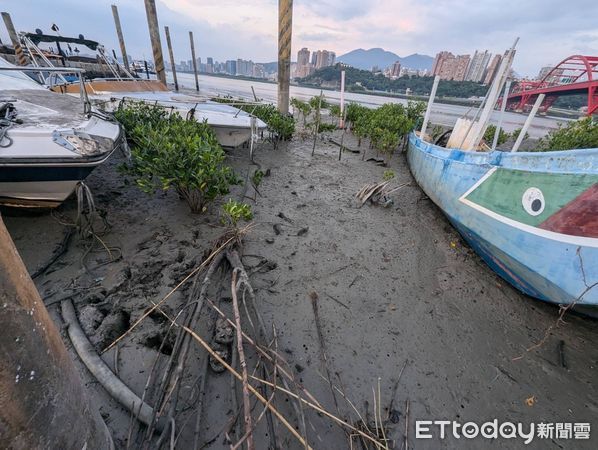 ▲▼李婦獨自進入淡水河，卡在河岸沙洲爛泥中被救起             。（圖／記者陳以昇翻攝）