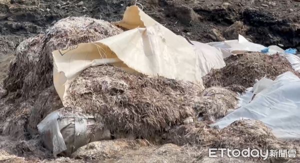 ▲▼  雲林檢警守護濁水溪河川地 查獲不法業者傾倒400噸家禽廢渣           。（圖／記者蔡佩旻翻攝）