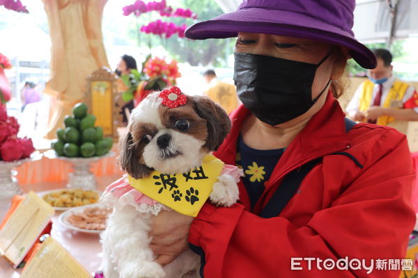 ▲「畜魂碑」擁百年歷史感念動物付出　法會準備豐盛供品誦經祈福（圖／新北市動保處提供，請勿隨意翻拍，以免侵權。）