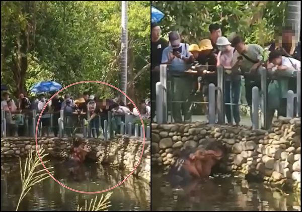 ▲▼遊客亂餵河馬 新竹動物園報警：無不當回應投訴。（圖／翻攝自爆料公社）