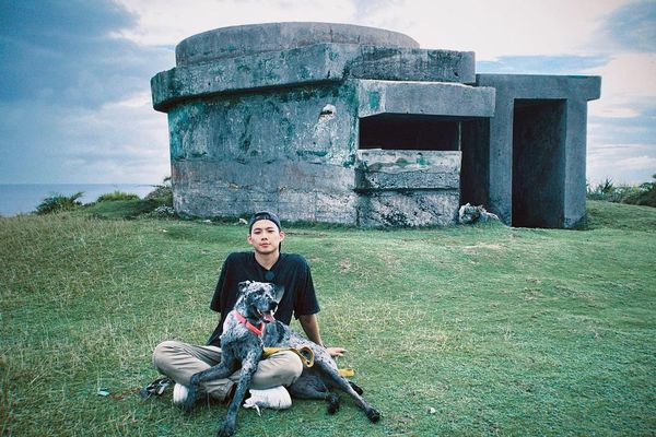 ▲▼吳念軒限動透露愛犬遭咬傷。（圖／翻攝自IG）