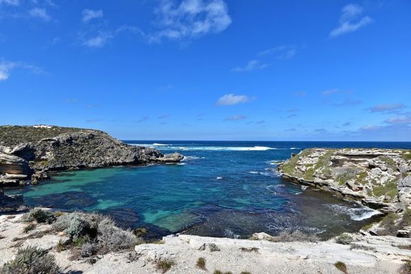 ▲▼西澳伯斯必去景點，羅特尼斯島自行車環島一日遊             。（圖／Travel with Leo提供）