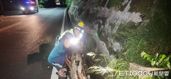 ▲警民合作清除倒塌樹木。（圖／記者楊漢聲翻攝）