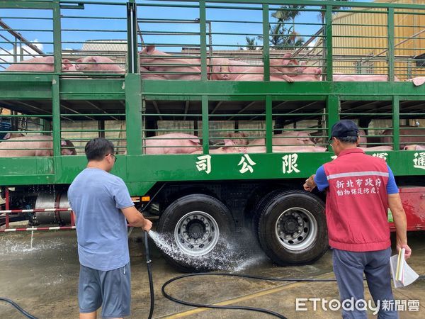 ▲▼防守非洲豬瘟「消毒畜禽防疫車」是關鍵　動保處嚴查最高罰15萬（圖／新北市動物保護處提供）