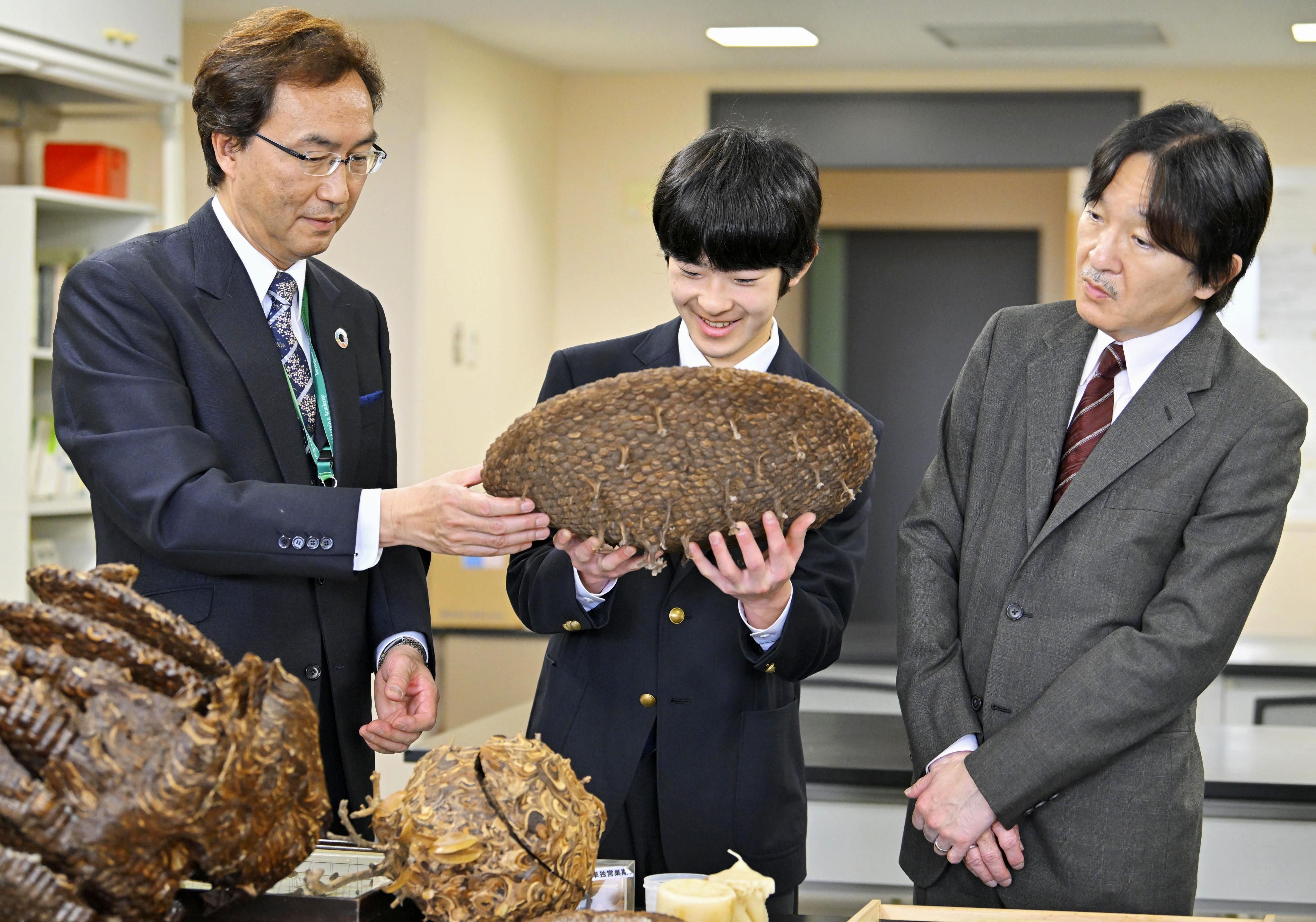 ▲▼悠仁親王對於生物研究情有獨鍾。（圖／達志影像）