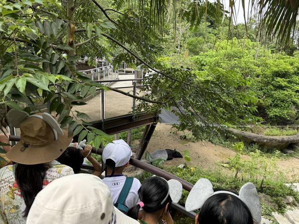 ▲中信銀行「閱讀全壘打」跨界攜手臺北市立動物園創造閱讀新體驗。（圖／中國信託商業銀行提供）