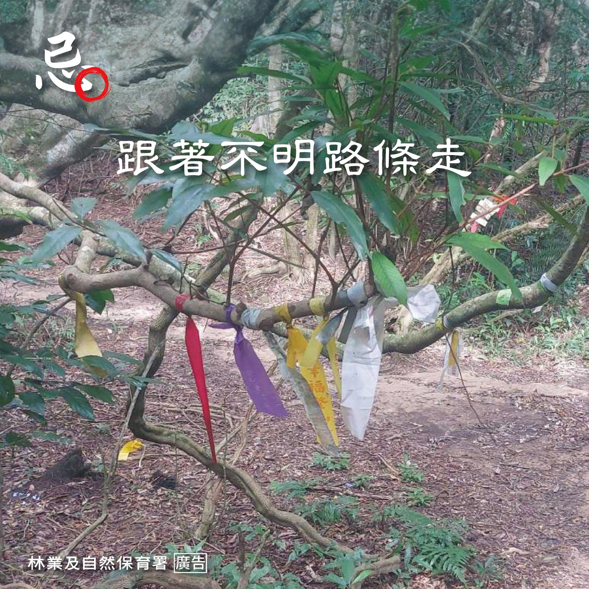 ▲林業保育署提醒登山禁忌。（圖／林業保育署提供）