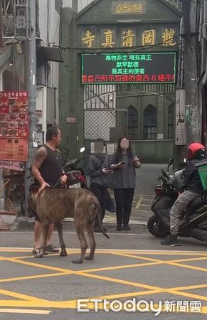 ▲市場驚見2隻「巨無霸狗狗」在散步！路人看傻眼：以為是兩匹馬（圖／網友甜甜提供，請勿隨意翻拍，以免侵權。）