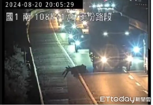 ▲醉漢闖入國道1號頭份路段，倒臥車道上，駕駛紛紛閃避，嚇死眾人。（圖／記者楊永盛翻攝）