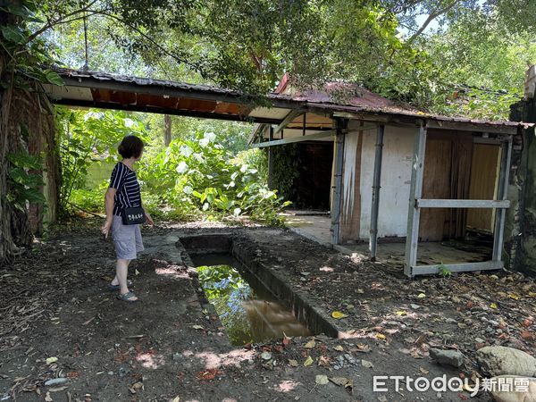 ▲雲林虎尾鎮建國眷村意外挖出車道遺跡、修車溝槽，為該處成為眷村前的日本海軍航空隊軍事要地歷史佐證。（圖／記者蔡佩旻翻攝）