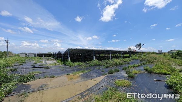 ▲彰化竹塘驚傳光電弊案，鄉長在醫院檢查還沒完就被帶回偵訊。（圖／記者游瓊華翻攝）