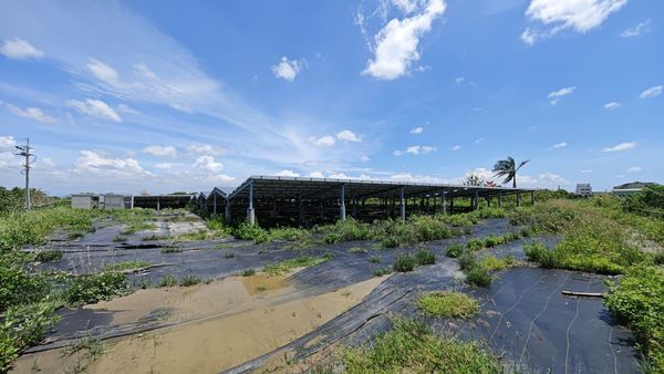 ▲彰化雲林涉光電弊案。（圖／翻攝自網路）