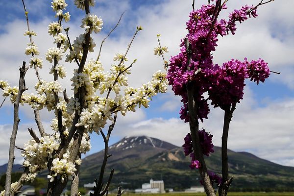 ▲▼日本第四大絕美湖泊，豬苗代湖。（圖／部落客飛天璇提供）