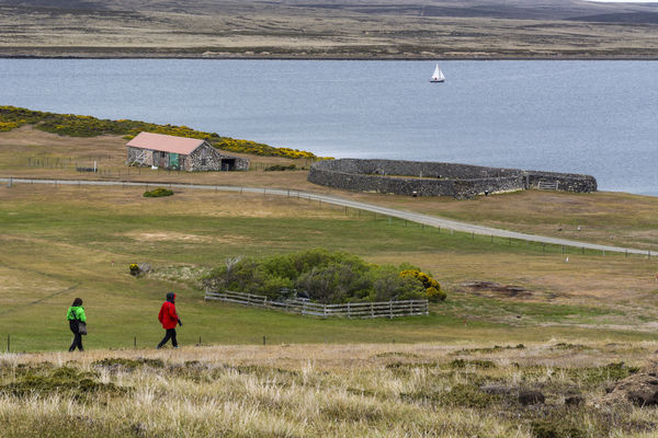 ▲▼英國海外領土福克蘭群島（Falklands）東部定居點達爾文（Darwin）。（圖／達志影像／美聯社）