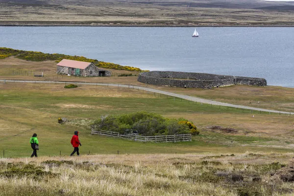 ▲▼英國海外領土福克蘭群島（Falklands）東部定居點達爾文（Darwin）。（圖／達志影像／美聯社）