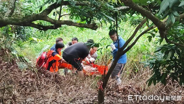 ▲台南市東山區有工人採收龍眼時不慎摔落山坡受傷，南消一大隊東原消防分隊據報到場救援，現場發現60歲林姓男子右臀骨折，馬上以救護車送柳營奇美醫院救治。（圖／民眾提供，下同）