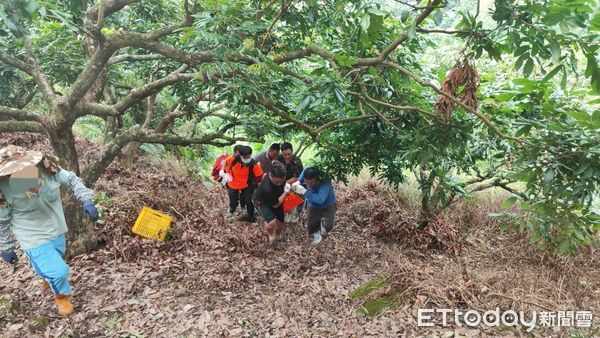 ▲台南市東山區有工人採收龍眼時不慎摔落山坡受傷，南消一大隊東原消防分隊據報到場救援，現場發現60歲林姓男子右臀骨折，馬上以救護車送柳營奇美醫院救治。（圖／民眾提供，下同）