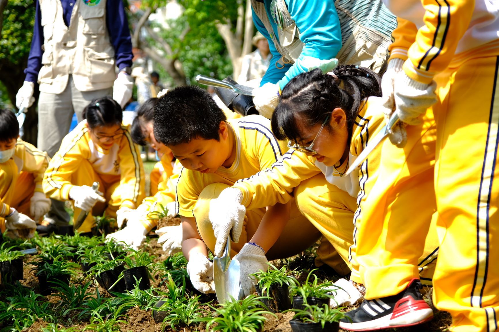 ▲新北即日起免費苗木開放申請。（圖／新北市農業局提供）