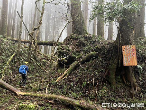 ▲▼嘉義登山意外。（圖／記者翁伊森翻攝）