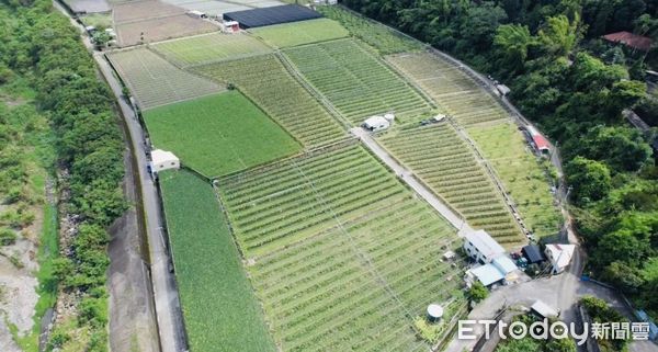 ▲颱風豪雨導致蔬果價格飆漲，信義警方啟動「護農專案」。（圖／記者高堂堯翻攝）