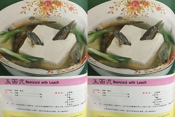 ▲40年前食譜見「泥鰍鑽豆腐」嚇壞了！部落客一查驚呆：很有名。（圖／「馬卡人妻血淚廚房歷險記」授權引用）