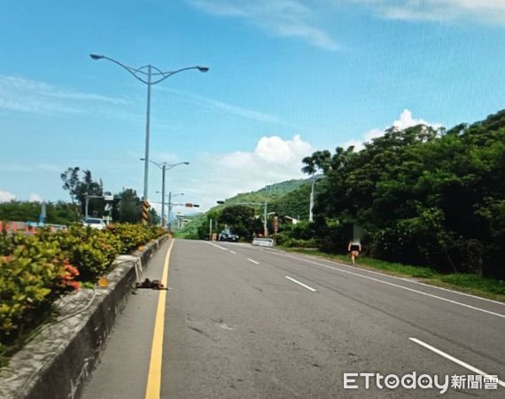 ▲自小客車撞與候子發生交通事故            。（圖／記者陳崑福翻攝）