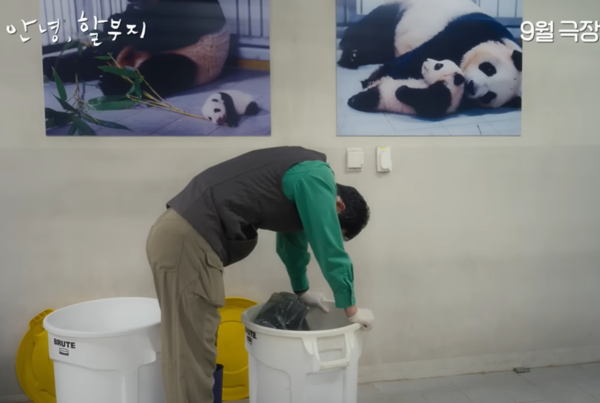 再見，爺爺預告片。（圖／翻攝自Youtube@PPUPPA tv : animal world）