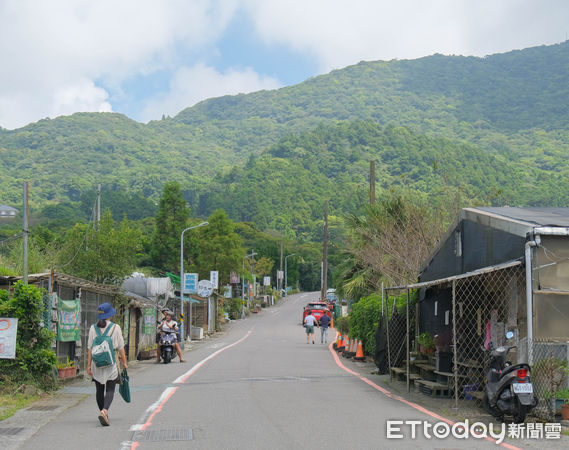 ▲竹子湖「田間美術館」藝術小旅行正式展開,竹子湖景點,小油坑橋能就近欣賞到火山爆裂口,黑森林,大梯田花卉生態農園,故鄉金針花農園。（圖／記者彭懷玉攝）