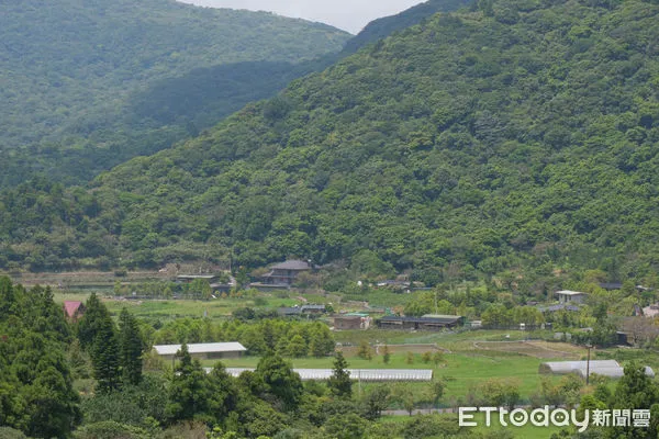 ▲竹子湖「田間美術館」藝術小旅行正式展開,竹子湖景點,小油坑橋能就近欣賞到火山爆裂口,黑森林,大梯田花卉生態農園,故鄉金針花農園。（圖／記者彭懷玉攝）