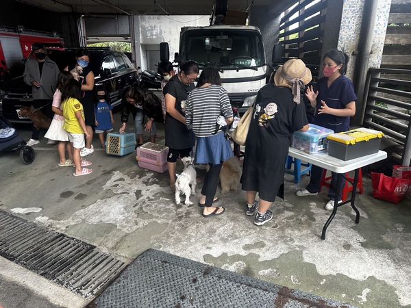 ▲馬爾濟斯「小白」咳嗽流鼻水　幸運遇到「醫療專車」拿到感冒藥（圖／新北市動保處提供。）