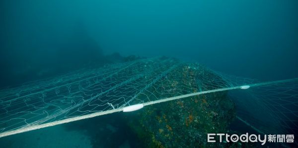 ▲▼有漁民在南方四島國家公園布置「死亡之牆」底刺網。（圖／「水下三十米」提供）