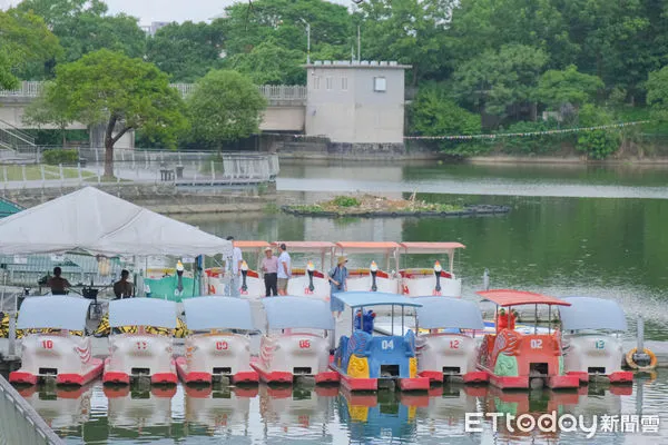 ▲青草湖,青草湖體驗SUP立式划槳及搭乘天鵝船環湖,新竹市景點。（圖／記者彭懷玉攝）