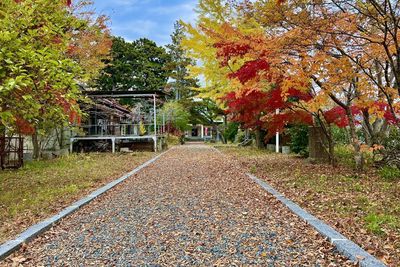 日本神社活春宮！熟女肉體交纏61歲男　參拜民眾傻眼報警