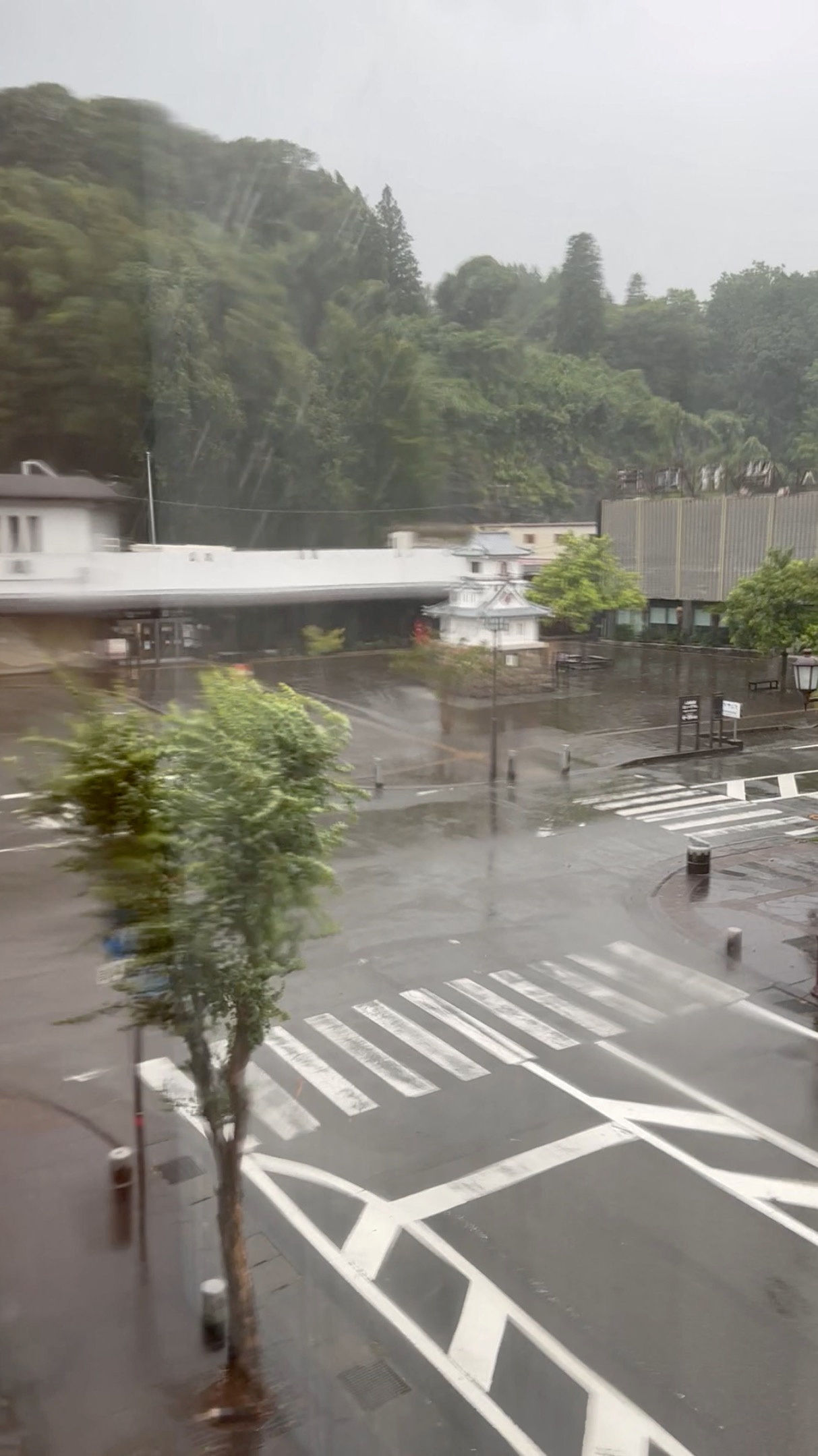 ▲▼ 珊珊颱風侵襲日本，出現大風大雨，農田被淹沒。（圖／路透）