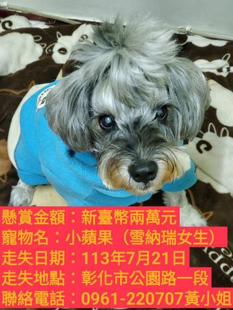 ▲彰化懸賞2萬元協尋愛犬。（圖／黃小姐提供）