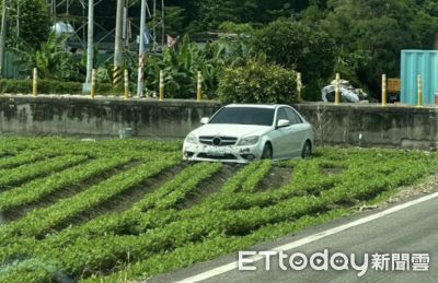 這不是裝置藝術...虎尾賓士衝落花生田　車主雇拖吊車移走