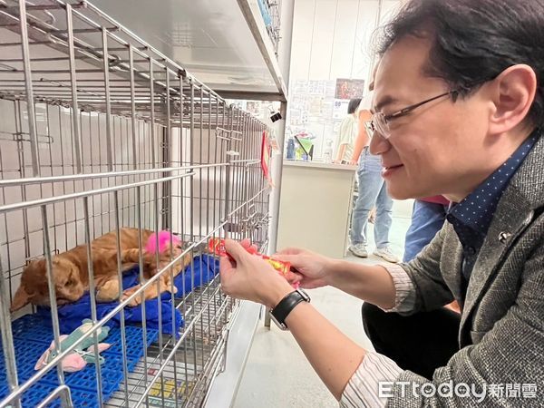  ▲東森寵物攜手希爾思，捐贈6000公斤飼料 為流浪動物加餐！（圖／東森寵物提供）