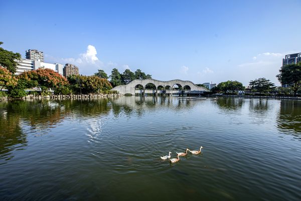 ▲▼ 聚富建設八期新案,聚富粼粼,好市多,迪卡儂,八期重劃區。（圖／業者提供）