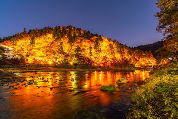 ▲▼愛知縣香嵐溪夜間楓紅，愛知縣賞楓景點。（圖／樂天旅遊提供）