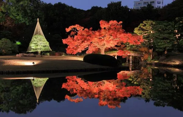 ▲▼東京六義園。（圖／樂天旅遊提供）