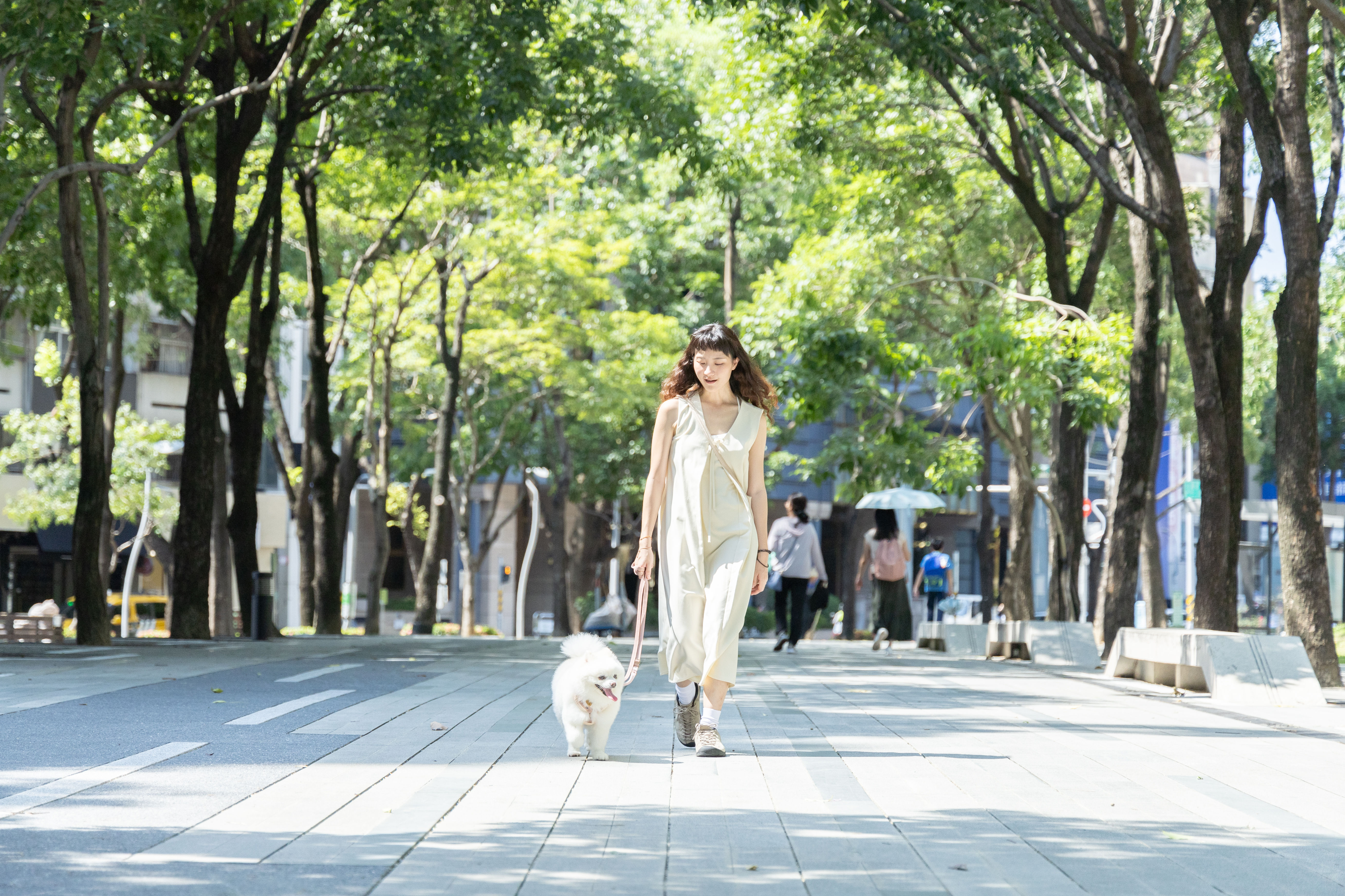 ▲台中勤美3間賣場宣布開放寵物落地。（圖／業者提供）